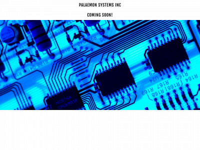 palaemonsystems.ca snapshot