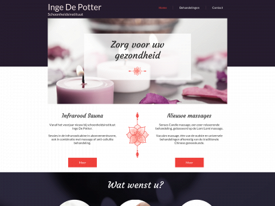 ingedepotter.be snapshot