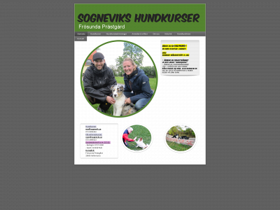sognevik.se snapshot