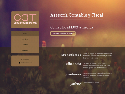 catasesores.es snapshot