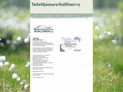 taiteilijaseurakoillinen.fi snapshot
