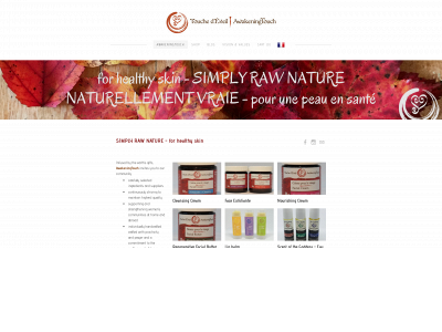 www.awakeningtouch.ca snapshot