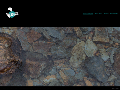 adrenalineturtle.com snapshot
