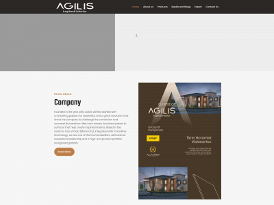 agilisvitrified.co.in snapshot