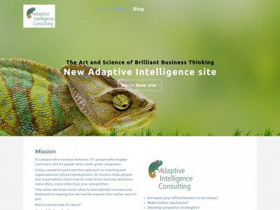garycoulton.consulting snapshot