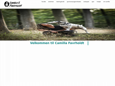camillafavrholdt.dk snapshot