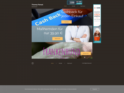 tpensel.de snapshot