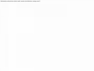 seablobs.org snapshot