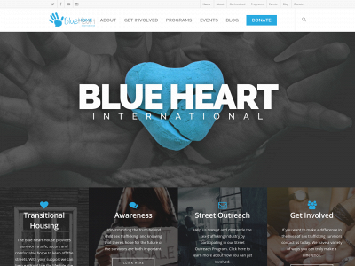 blueheartinternational.org snapshot