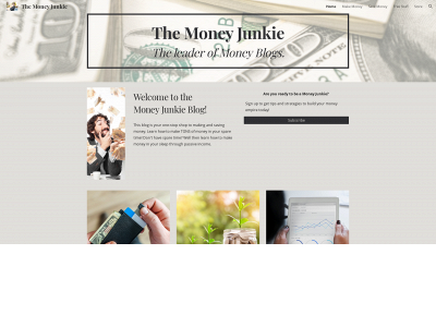 themoneyjunkie.com snapshot