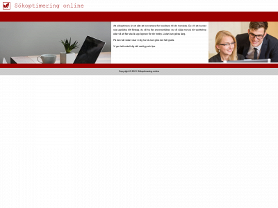 sokoptimering.online snapshot