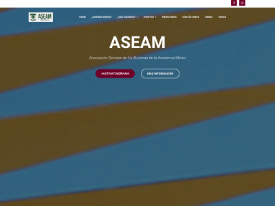 aseam-merici.com snapshot