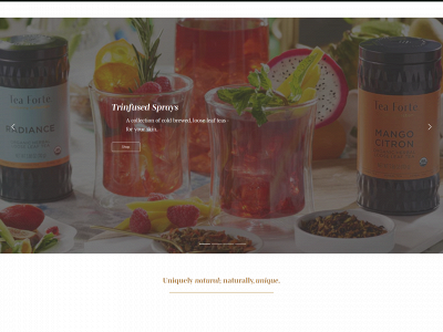 valesce.com snapshot
