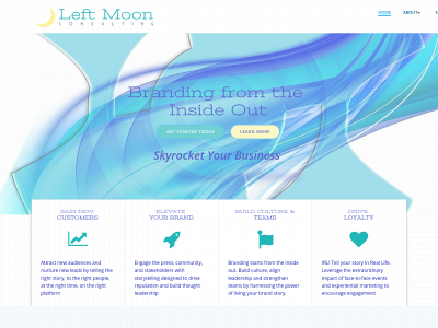 leftmoonconsulting.com snapshot