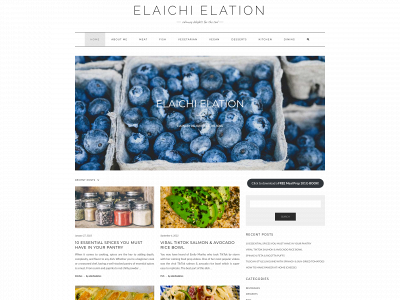 elaichielation.com snapshot