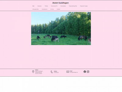 guldhagen.se snapshot