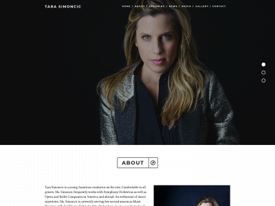 tarasimoncic.com snapshot