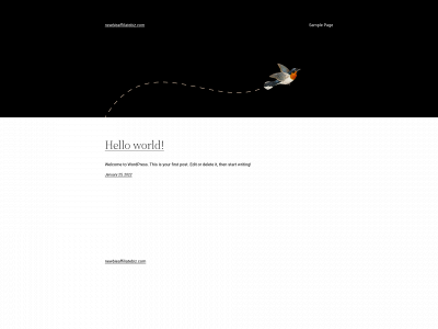 newbieaffiliatebiz.com snapshot