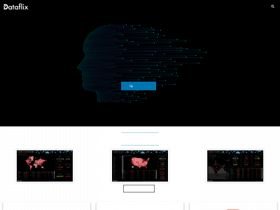 www.dataflix.com snapshot