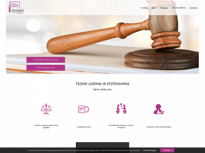 teismoleidimai.lt snapshot