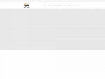 auctusinc.com snapshot