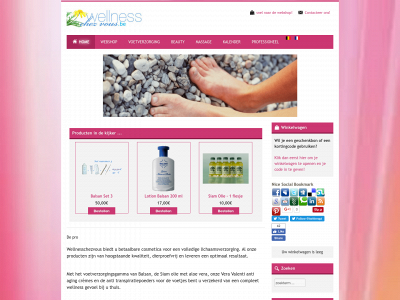 wellnesschezvous.be snapshot