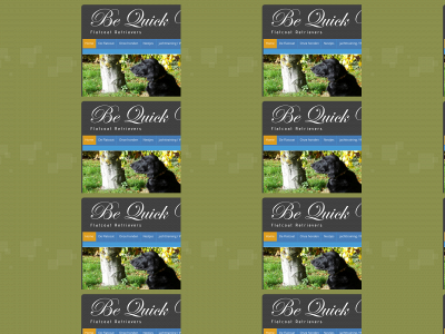 bequick-withpassion.nl snapshot