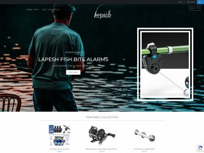 lapesh.com snapshot