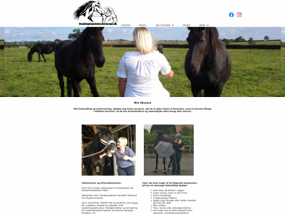 hestehviskerenfrayorkshire.dk snapshot