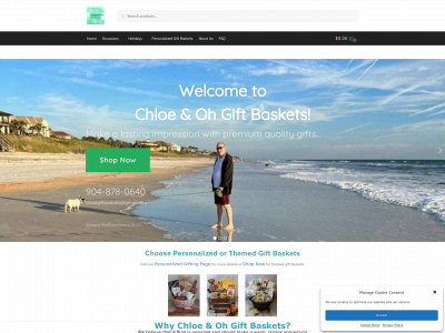 chloebaskets.com snapshot