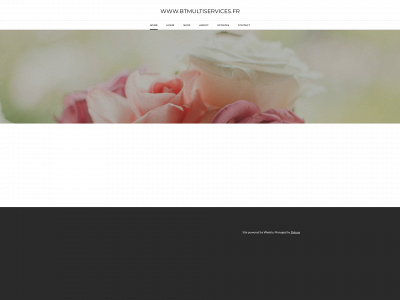 www.btmultiservices.fr snapshot
