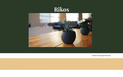rikos.dk snapshot