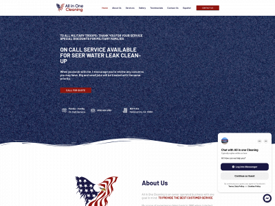 www.allinonecleaningsd.com snapshot