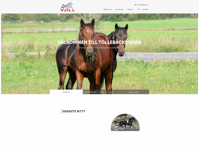 tolleback.se snapshot