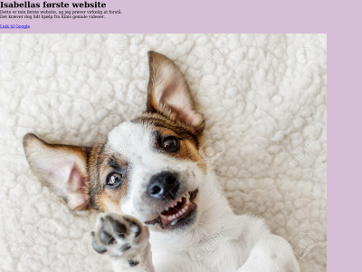 isabellaberry.dk snapshot