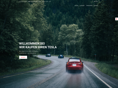 wirkaufenihrentesla.de snapshot