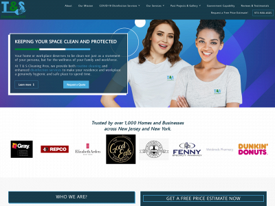 tscleaningpros.com snapshot