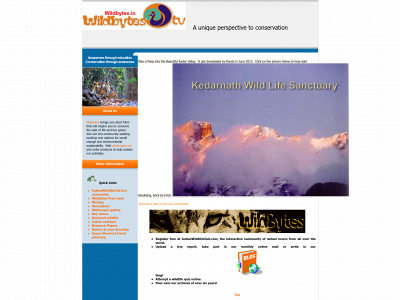 wildbytes.in snapshot