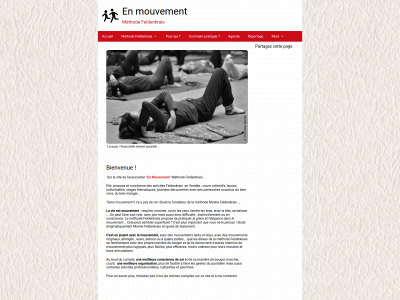 feldenkraisenmouvement.fr snapshot