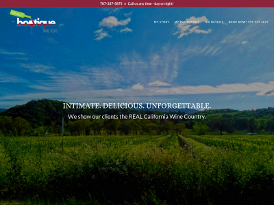 nvboutiquewinetours.com snapshot