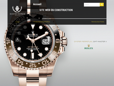 davidkorenwatches.com snapshot