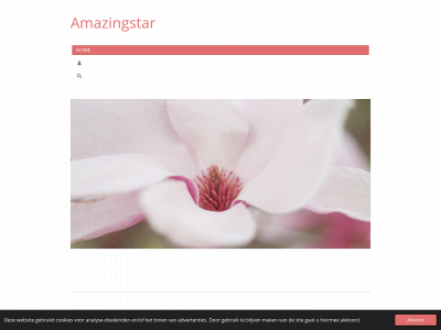 amazingstar.nl snapshot