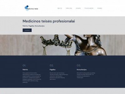 medicalaw.lt snapshot