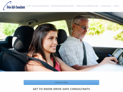 drivesafeconsultants.com snapshot