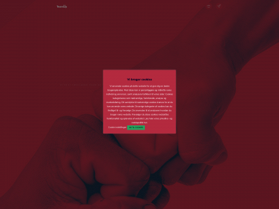 teamup.nu snapshot
