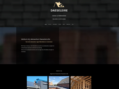 dakwerkendaeseleire.be snapshot