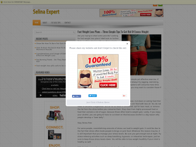 selinaexpert.com snapshot