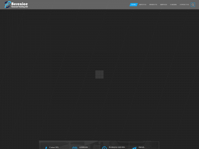 berenicellc.com snapshot