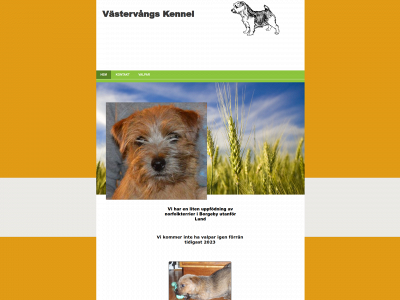 vastervang.com snapshot