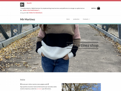 mirmartinez.es snapshot
